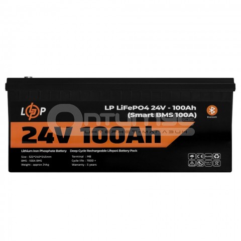 Літій-залізо-фосфатний (літій-ферумний) акумулятор LogicPower LP LiFePO4, Smart BMS 100A, 24 В 100 Аг для ДБЖ