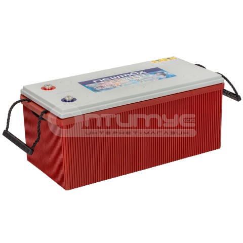 Тяговый аккумулятор AGM Newmax PNB122000 200 Ач 12 В, Корея
