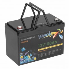 Литий-железо-фосфатный (литий-ферумный) аккумулятор Weekender LiFePO4 12,8 В 100 Ач с дисплеем, 3000 циклов