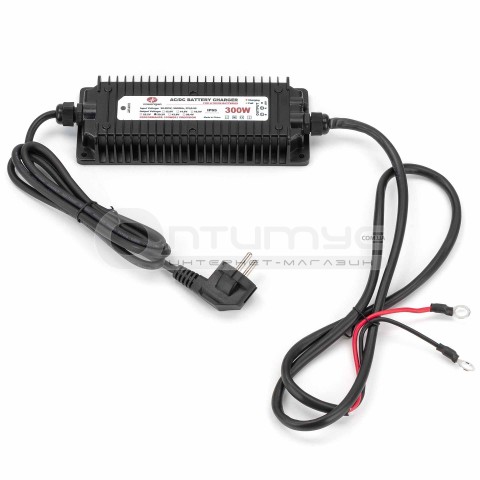 Автоматичний вологозахищений зарядний пристрій для літій-ферумних акумуляторів Wengao Wengao WG-24C300S, 24 В 10 А