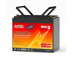 Литий-железо-фосфатный аккумулятор MOSEWORTH LiFePO4 12V 100 Ah Smart (1280Wh) (BMS 100A)