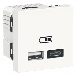Розетка USB Schneider New Unica, тип A+C, 2 модулі, білий, NU301818