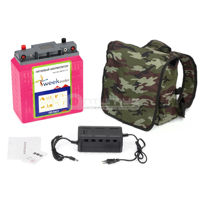 Литий-ионный аккумулятор Weekender 12 В 100 Ач с зарядным устройством ...